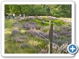 Diever2007DwingeloHeide01